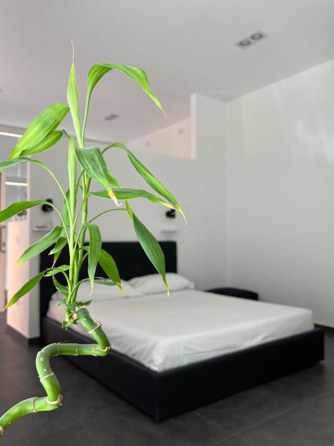 Loft Galla Placidia Rávena Exterior foto